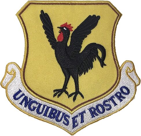 18th Wing Unguibus Et Rostro Patch – Plastic Backing in Saudi Arabia