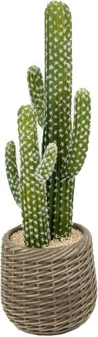 bellacat 32in Fake Cactus with Warm White & Color Changing Lights, Realistic Faux Cactus Plants Indoor with Brown Decorative Planter, Artificial Cacti Light Up Plant for Home Decor in Saudi Arabia