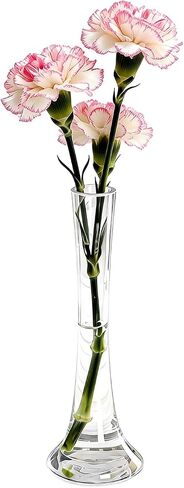 25CM/10 Inch Tall Clear Hand-Blown Glass Bud Vase Narrow Neck Single Stem Floral Vase Small Mouth Decorative Floral Vases for Wedding Centerpieces Party Home Decoration in Kuwait