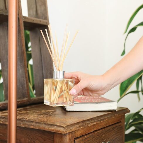 Doctor Aromas Premium Reed Diffuser Diffuser Glass Jar Set Elegant Scent for Home, Room or Bathroom and Fresh Air Scent Lasting Home Fragrance Over 90 Days (Pack of 1, Hope) in Saudi Arabia