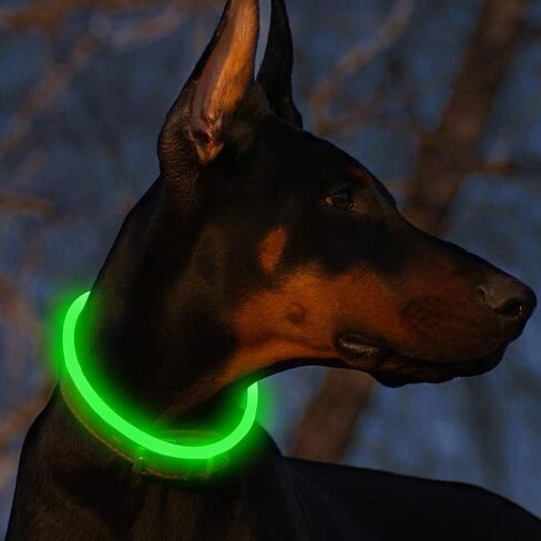 أطواق الكلاب المضيئة من BSEEN - طوق للكلاب بإضاءة LED متوهجة، طوق جرو مضاء قابل للقطع من مادة TPU، ضوء مشي للكلاب قابل لإعادة الشحن للكلاب الصغيرة والمتوسطة والكبيرة (أخضر) in Kuwait