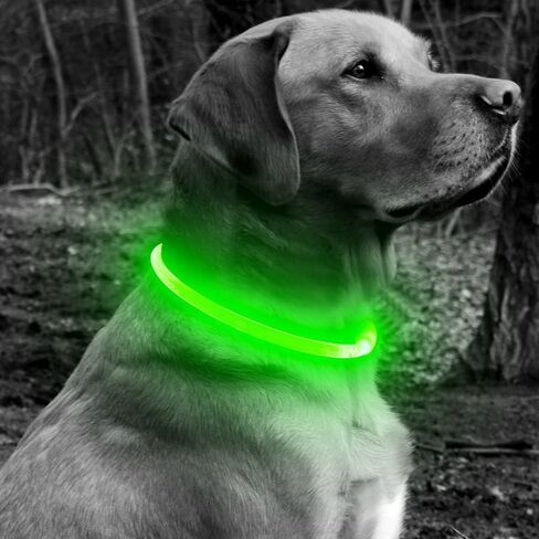 أطواق الكلاب المضيئة من BSEEN - طوق للكلاب بإضاءة LED متوهجة، طوق جرو مضاء قابل للقطع من مادة TPU، ضوء مشي للكلاب قابل لإعادة الشحن للكلاب الصغيرة والمتوسطة والكبيرة (أخضر) in Kuwait