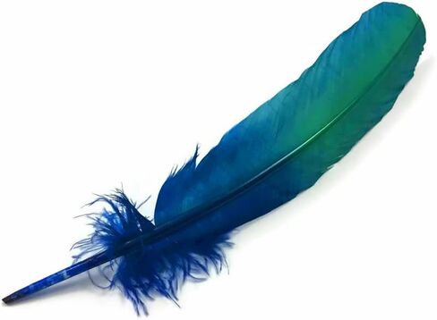 Turkey Feathers, 12 Pieces Turkey Round Tom Wing Quill Feathers Blue Green Ombre | Moonlight Feather | Amazon in Saudi Arabia