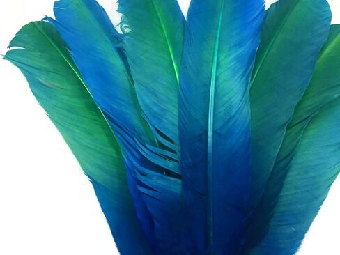Turkey Feathers, 12 Pieces Turkey Round Tom Wing Quill Feathers Blue Green Ombre | Moonlight Feather | Amazon in Saudi Arabia