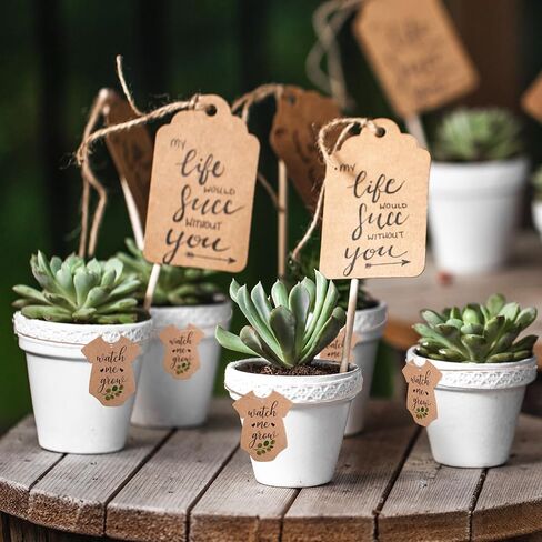 JarThenaAMCS 100Pcs Watch Me Grow Tags Succulent Favor Tags with Hemp Rope Teacher Appreciation Gift Tag Greenery Baby Shower Hanging Kraft Paper Label for Graduation Birthday Party Supplies in Saudi Arabia