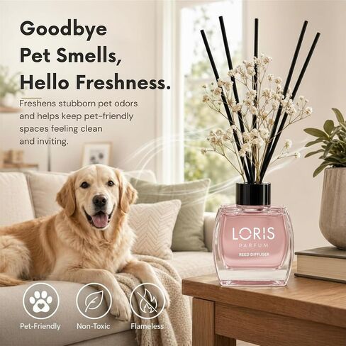 Loris Patchouli & Bergamot Reed Diffuser Set with Dried Flowers | Reed Diffusers for Home with Sticks | Bathroom Diffuser & Room Scent | Long-Lasting Home Fragrance | 120 mL / 4.06 fl oz in Kuwait