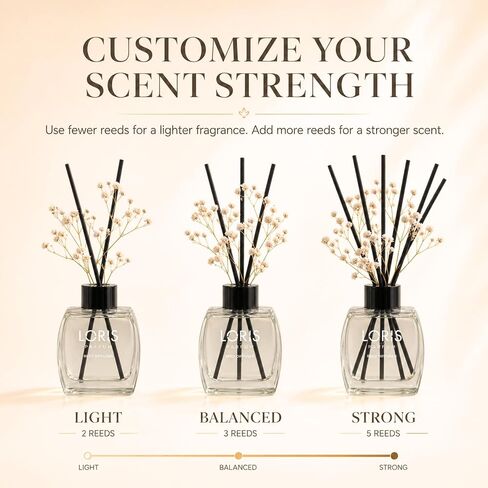 Loris Patchouli & Bergamot Reed Diffuser Set with Dried Flowers | Reed Diffusers for Home with Sticks | Bathroom Diffuser & Room Scent | Long-Lasting Home Fragrance | 120 mL / 4.06 fl oz in Kuwait