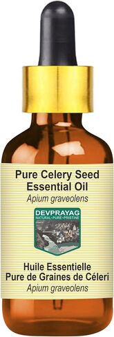 Celery Seed Essential Oil (Apium graveolens) with Glass Dropper | Pure | Non-Sticky | Non-Greasy | Lightweight | Men & Women | All Skin Types | Steam Distilled 15ml (0.5 oz) in Kuwait