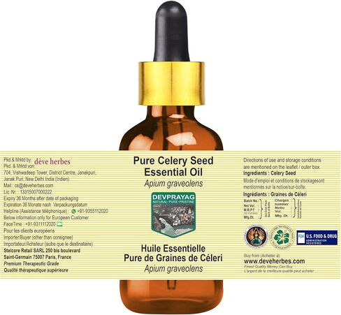 Celery Seed Essential Oil (Apium graveolens) with Glass Dropper | Pure | Non-Sticky | Non-Greasy | Lightweight | Men & Women | All Skin Types | Steam Distilled 15ml (0.5 oz) in Kuwait