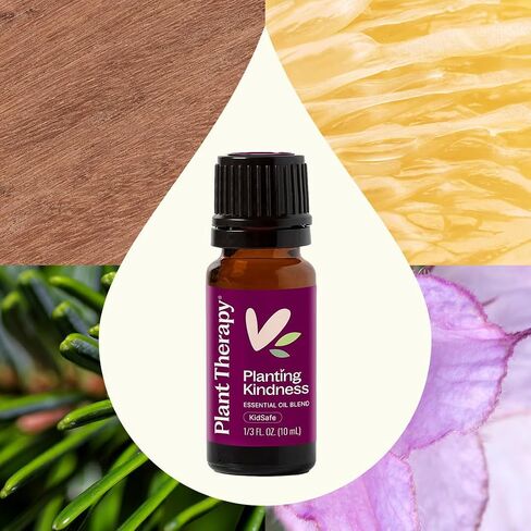 Plant Therapy Planting Kindness Essential Oil Blend 10 mL (1/3 oz) $5 Donated from Each Purchase to the Boys & Girls Club, Freshens Your Space with a Bright Aroma, Uplifts & Promotes Mental Clarity in Saudi Arabia