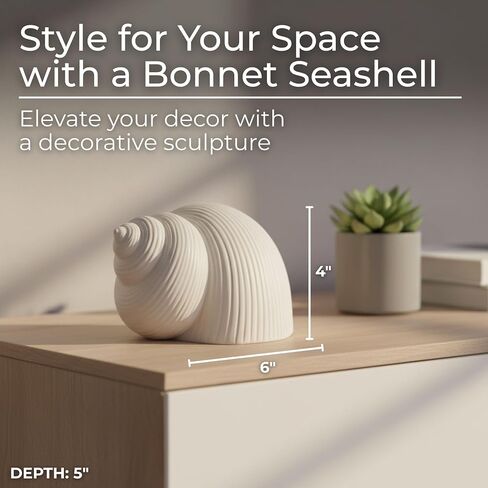 Coastal Ceramic Figurine for Home, Bathroom, Office, and Room Decor - Seashell Inspired Ornament for Living Room Styling - Modern Sculpture for Shelf and Coffee Table Display- 4", White in Kuwait