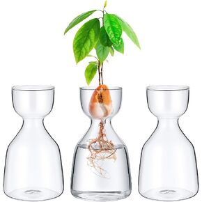 3 Pcs Acorn Vases Glass Avocado Vase Avocado Glass Vase for Growing, Hydroponics Terrariums Pot Deco Indoor Bulb Vasees Propagation Vases for Home Table Desk Indoor Decor Gardening Lover Gifts in Saudi Arabia