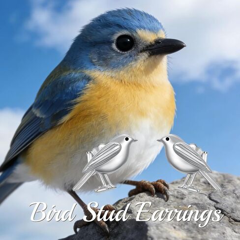 925 Sterling Silver Bird Stud Earrings for Women Cute Animal Jewelry for Mom Wife in Saudi Arabia