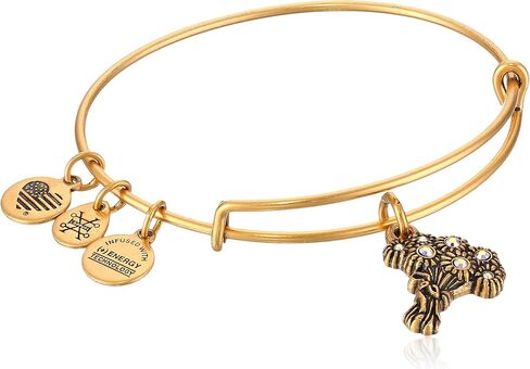 Alex and ANI I Pick You 'Bouquet Charm Bangle in Kuwait
