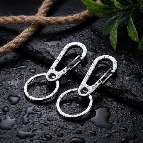 Stainless Steel Key Ring, 2 Pack Heavy Duty Carabiner Keychain Quick Release Key Ring Carabiner Clip Holder for Keys, Cars, Purse Charms, Silver in Saudi Arabia