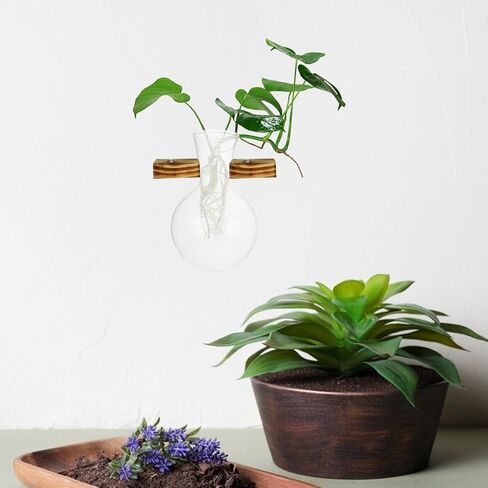 3 Pcs Propagation Stations Glass Hydroponic Vase, Clear Wall Planter Replacement Container, Modern Small Flower Plant Display Pot for Indoor Wooden Hanging Frame Holder in Kuwait