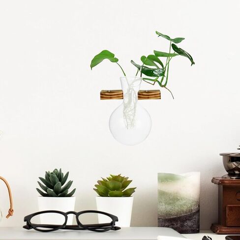 3 Pcs Propagation Stations Glass Hydroponic Vase, Clear Wall Planter Replacement Container, Modern Small Flower Plant Display Pot for Indoor Wooden Hanging Frame Holder in Kuwait