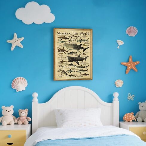 Framed Sharks Wall Art Educational Shark Poster Vintage Marine Biology Picture Nautical Sea Life Painting Ocean Animal Art Print for Kids Room, Bathroom, Classroom, Office Décor 12x16 inch in Saudi Arabia
