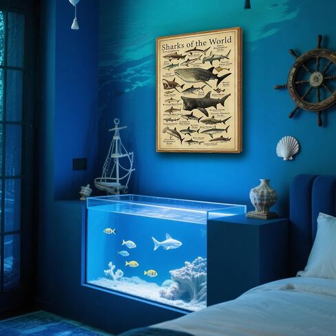Framed Sharks Wall Art Educational Shark Poster Vintage Marine Biology Picture Nautical Sea Life Painting Ocean Animal Art Print for Kids Room, Bathroom, Classroom, Office Décor 12x16 inch in Saudi Arabia
