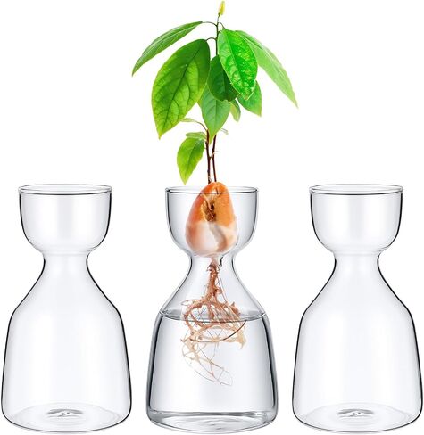 3 Pcs Acorn Vases Glass Avocado Vase Avocado Glass Vase for Growing, Hydroponics Terrariums Pot Deco Indoor Bulb Vasees Propagation Vases for Home Table Desk Indoor Decor Gardening Lover Gifts in Saudi Arabia