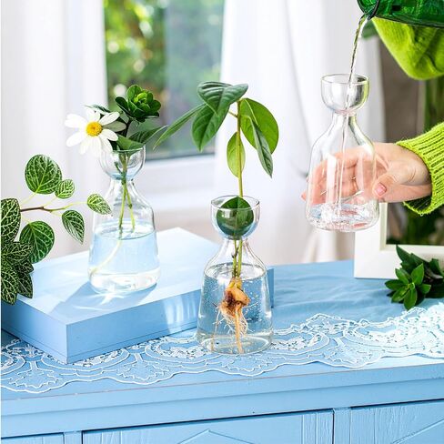 3 Pcs Acorn Vases Glass Avocado Vase Avocado Glass Vase for Growing, Hydroponics Terrariums Pot Deco Indoor Bulb Vasees Propagation Vases for Home Table Desk Indoor Decor Gardening Lover Gifts in Saudi Arabia