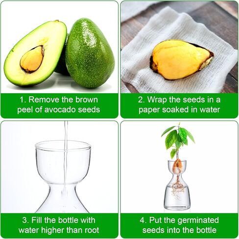 3 Pcs Acorn Vases Glass Avocado Vase Avocado Glass Vase for Growing, Hydroponics Terrariums Pot Deco Indoor Bulb Vasees Propagation Vases for Home Table Desk Indoor Decor Gardening Lover Gifts in Saudi Arabia
