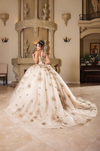Women's Layla K Lk282 Floral Quinceañera Ball Gown with Beaded Corset Bodice Champagne Goldish Beige and Gold Size 10 Beige/Gold in Saudi Arabia