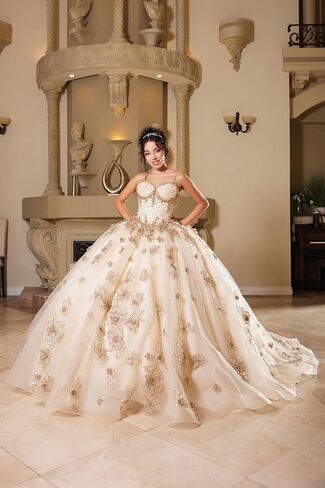 Women's Layla K Lk282 Floral Quinceañera Ball Gown with Beaded Corset Bodice Champagne Goldish Beige and Gold Size 10 Beige/Gold in Saudi Arabia