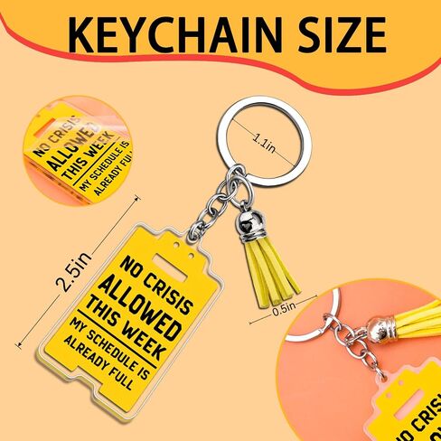 Chaos Coordinator Gifts for Women Work Keychain Funny Office Gifts for Coworkers Administrative Professional Day Gift for Manager Supervisor Boss Funny Office Decor Birthday Christmas Gift in Saudi Arabia
