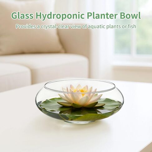 3 PCS Clear Glass Lotus Bowl Planter, Round Fish Bowl Vase, Minimalist Hydroponic Planter Set, Water Lily Bulb Forcing Vessel, Narcissus Flower Container, Desktop Home Decor Centerpiece in Kuwait