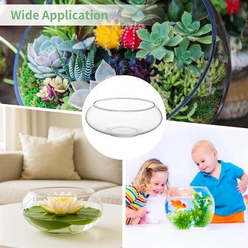 3 PCS Clear Glass Lotus Bowl Planter, Round Fish Bowl Vase, Minimalist Hydroponic Planter Set, Water Lily Bulb Forcing Vessel, Narcissus Flower Container, Desktop Home Decor Centerpiece in Kuwait