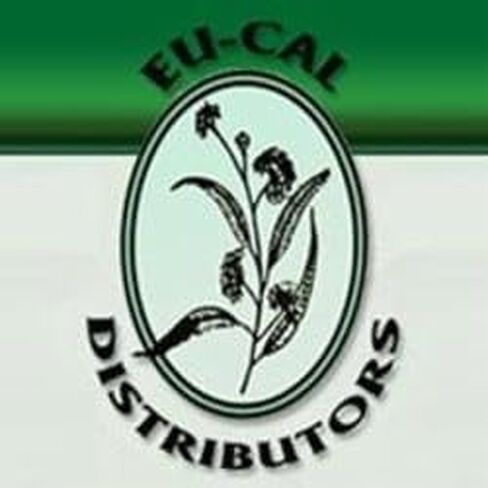 Eucalyptus Essential Oil 100% Pure 2oz. in Saudi Arabia