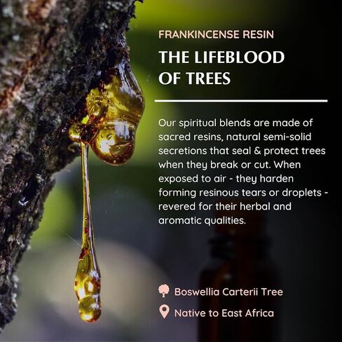Frankincense Resin Essential Oil Diffuser Blend 30ml by Aromafume | Boswellia Carterii & Boswellia Serrata Extract Blended | Native to East Africa & India | Calms & Relaxes | Charged with Pure Resins in Saudi Arabia