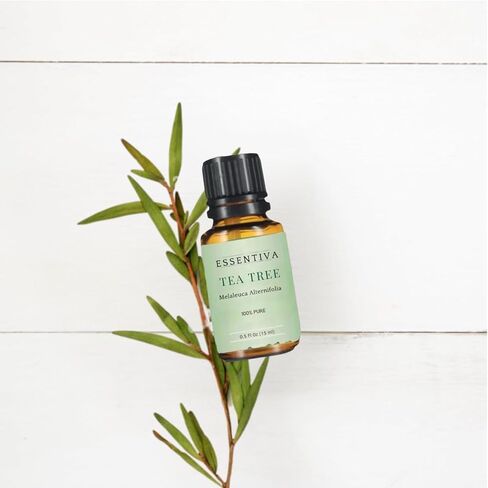 Tea Tree Oil (Melaleuca Alternifolia) in Kuwait