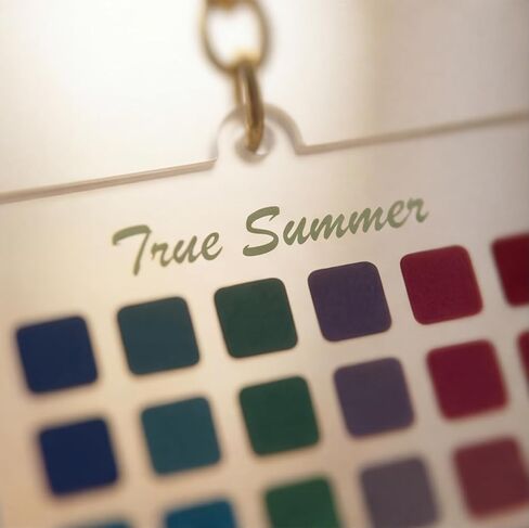 Color Analysis Swatches Keychain Clear Acrylic Color Season Swatch Card for in Saudi Arabia