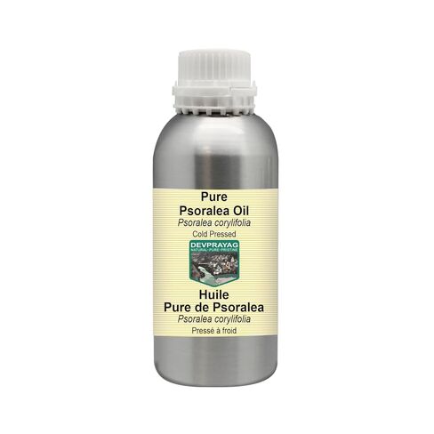 Pure Psoralea Oil (Psoralea corylifolia) Cold Pressed 5ml (0.16 oz) in Kuwait