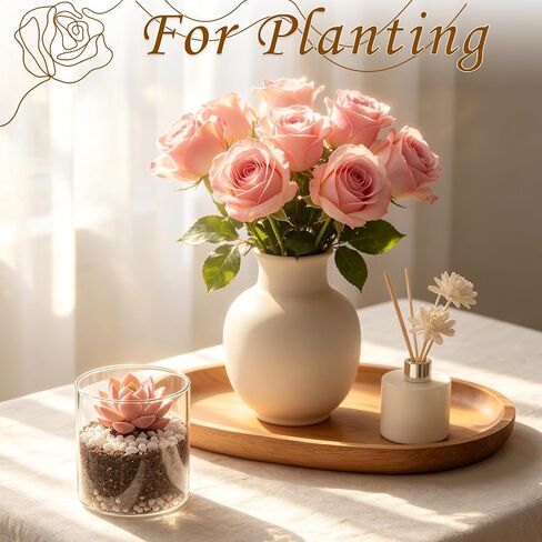 12 Pack Small Glass Cylinder Vases for Centerpieces, 4 Inch Clear Glass Flowers Vases in Bulk, Hurricane Floating Candle Holders Vase for Home Decor, Table Centerpiece and Dinners in Saudi Arabia