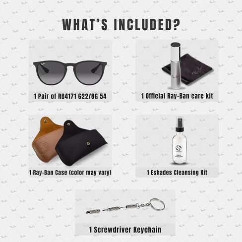 Ray-Ban RB4171 ERIKA CLASSIC Sunglasses with Matte Rubber Black Frame With Grey Gradient 54mm Lenses Includes an Official Eyewear Kit in Saudi Arabia