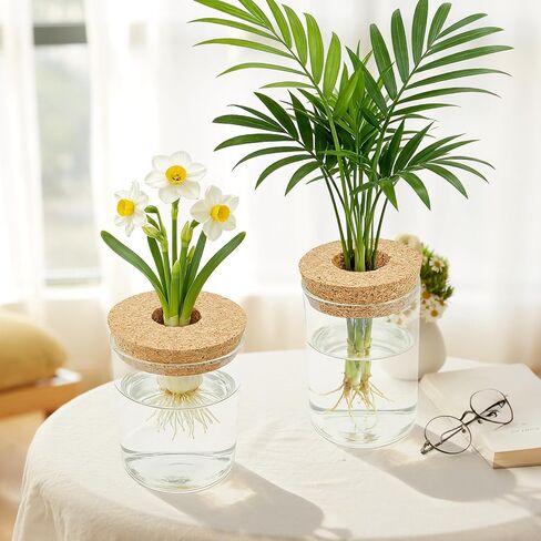 Glass Propagation Station for Plants Set of 4,Desktop Vases for Herb,Plant Cuttings,Planter Jars for Home,Propagation Flower Vases for Living Room,Bedroom,Home Office Decoration,Plant Lover Present in Saudi Arabia