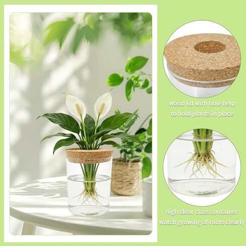 Glass Propagation Station for Plants Set of 4,Desktop Vases for Herb,Plant Cuttings,Planter Jars for Home,Propagation Flower Vases for Living Room,Bedroom,Home Office Decoration,Plant Lover Present in Saudi Arabia