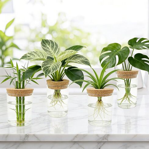 Glass Propagation Station for Plants Set of 4,Desktop Vases for Herb,Plant Cuttings,Planter Jars for Home,Propagation Flower Vases for Living Room,Bedroom,Home Office Decoration,Plant Lover Present in Saudi Arabia
