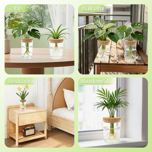 Glass Propagation Station for Plants Set of 4,Desktop Vases for Herb,Plant Cuttings,Planter Jars for Home,Propagation Flower Vases for Living Room,Bedroom,Home Office Decoration,Plant Lover Present in Saudi Arabia