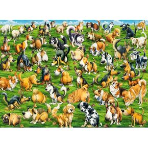 Fall Farm Farm Jigsaw Buzzles للبالغين 1000 قطعة ، ولغز صعب في الدماغ في ليلة اللعبة ، والعائلة ، والأصدقاء ، وحجم اللغز هو 26.6 × 19.2 الخريف in Kuwait