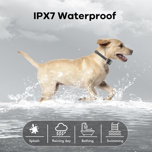 Shock Collar for Dogs, 3300FT Dog Training Collar with Remote, IPX7 Waterproof Collar with Beep, Vibration, Safe Shock for Large Medium Small Dogs, Keypad Lock and Flashing Light (10-120Lbs) in Kuwait