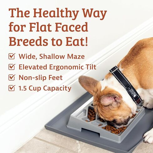 Leash Boss Tilted Slow Feeder Dog Bowl – Slow Feed Bowl for Flat-Faced, French Bulldogs, Pugs, Boston Terriers in Kuwait