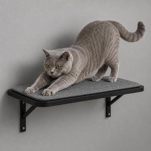 Wall Mounted Cat Furniture Set of 4 – 4 in 1 Cat Wall Shelves with Hammock, Bridge, Climbing Tree & Perch – Shelves for Large Cats, Holds Up to 30 lbs, Indoor Playground in Saudi Arabia