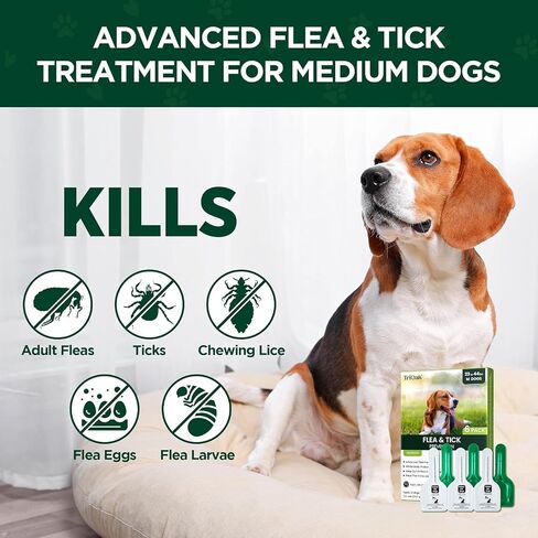 Flea and Tick Prevention for Dogs: Flea & Tick Topical for Medium Dogs 23-44 lbs, 6 Dose Flea and Tick Prevention for 6 Months (6 Pack) in Saudi Arabia