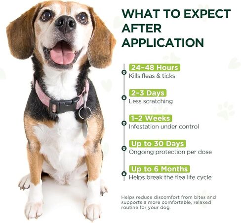 Flea and Tick Prevention for Dogs: Flea & Tick Topical for Medium Dogs 23-44 lbs, 6 Dose Flea and Tick Prevention for 6 Months (6 Pack) in Saudi Arabia