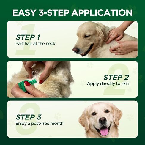 Flea and Tick Prevention for Dogs: Flea & Tick Topical for Medium Dogs 23-44 lbs, 6 Dose Flea and Tick Prevention for 6 Months (6 Pack) in Saudi Arabia