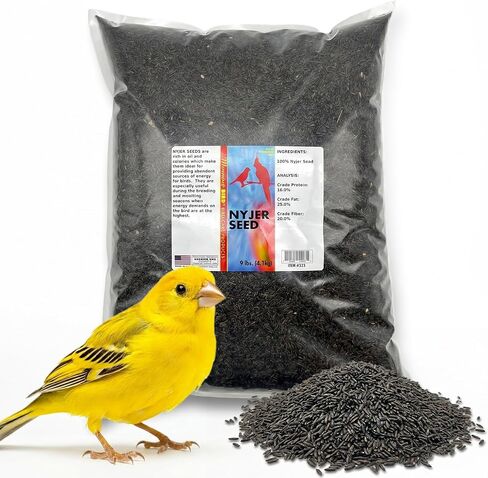 Morning Bird Nyjer Seed for Birds, High Energy Bird Food with Rich in Vitamins and Supplements – Ideal for Breeding & Molting Seasons Nyjer Seed for All Seed Eating Birds, 1.5 lbs in Kuwait